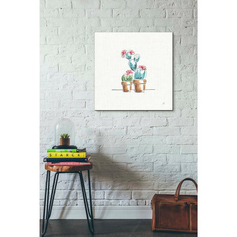 Image of 'Desert Bloom V' by Daphne Brissonet, Canvas Wall Art,18 x 18