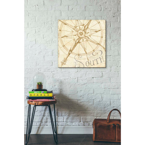 Image of 'Coast to Coast Sepia II' by Daphne Brissonet, Canvas Wall Art,18 x 18