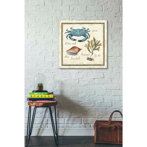 Image of 'Oceanography IV' by Daphne Brissonet, Canvas Wall Art,18 x 18