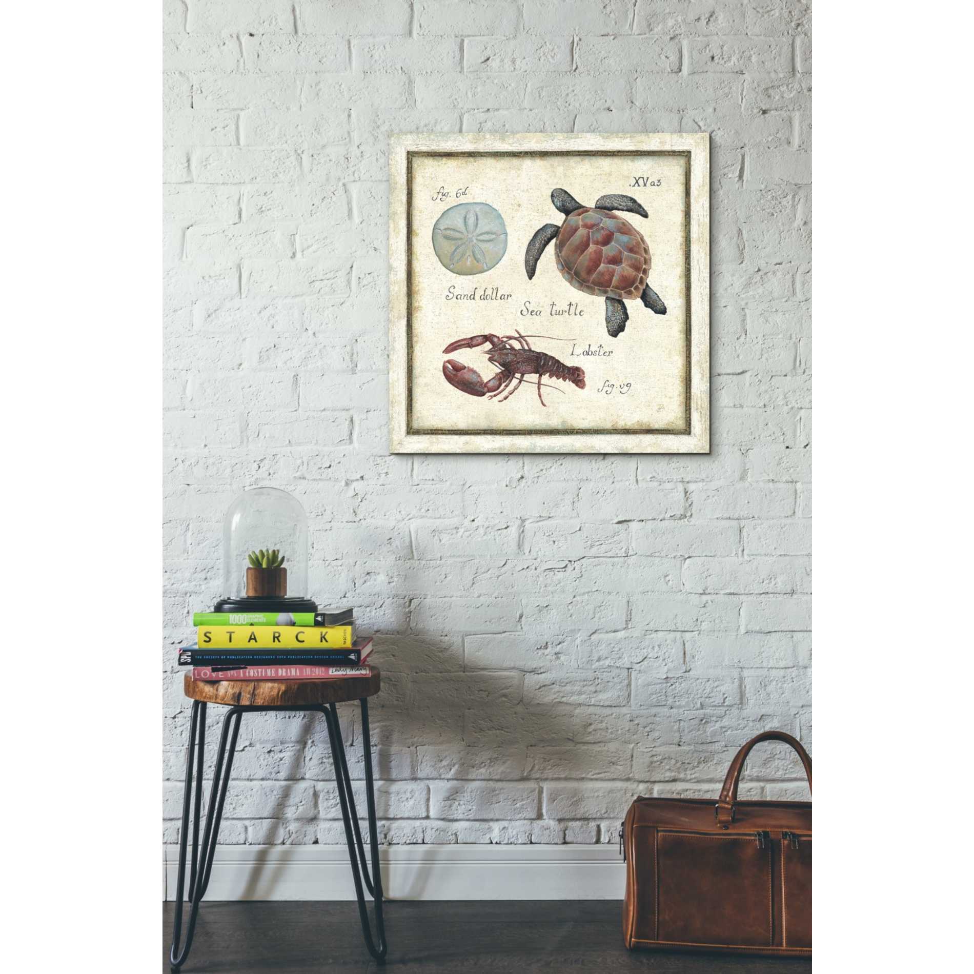 'Oceanography II' by Daphne Brissonet, Canvas Wall Art,18 x 18