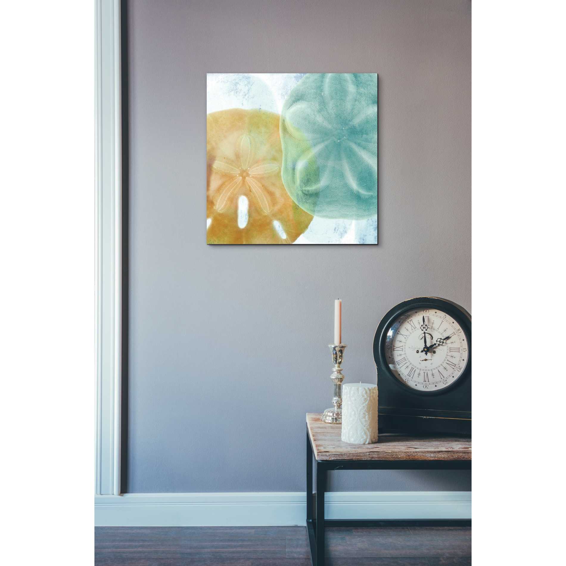 'Luminous Seashells' by Elena Ray Canvas Wall Art,18 x 18