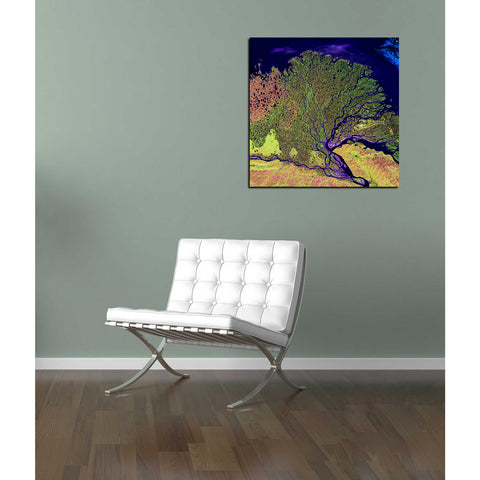 Image of 'Earth As Art: Lena Delta' Canvas Wall Art,18 x 18