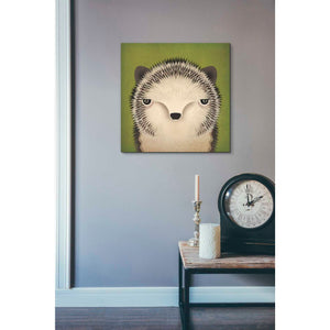 'Baby Hedgehog' by Ryan Fowler, Canvas Wall Art,18 x 18