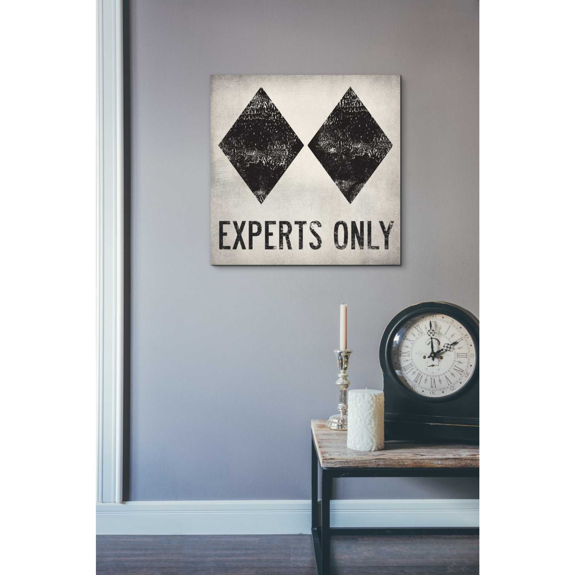 'Experts Only White' by Ryan Fowler, Canvas Wall Art,18 x 18
