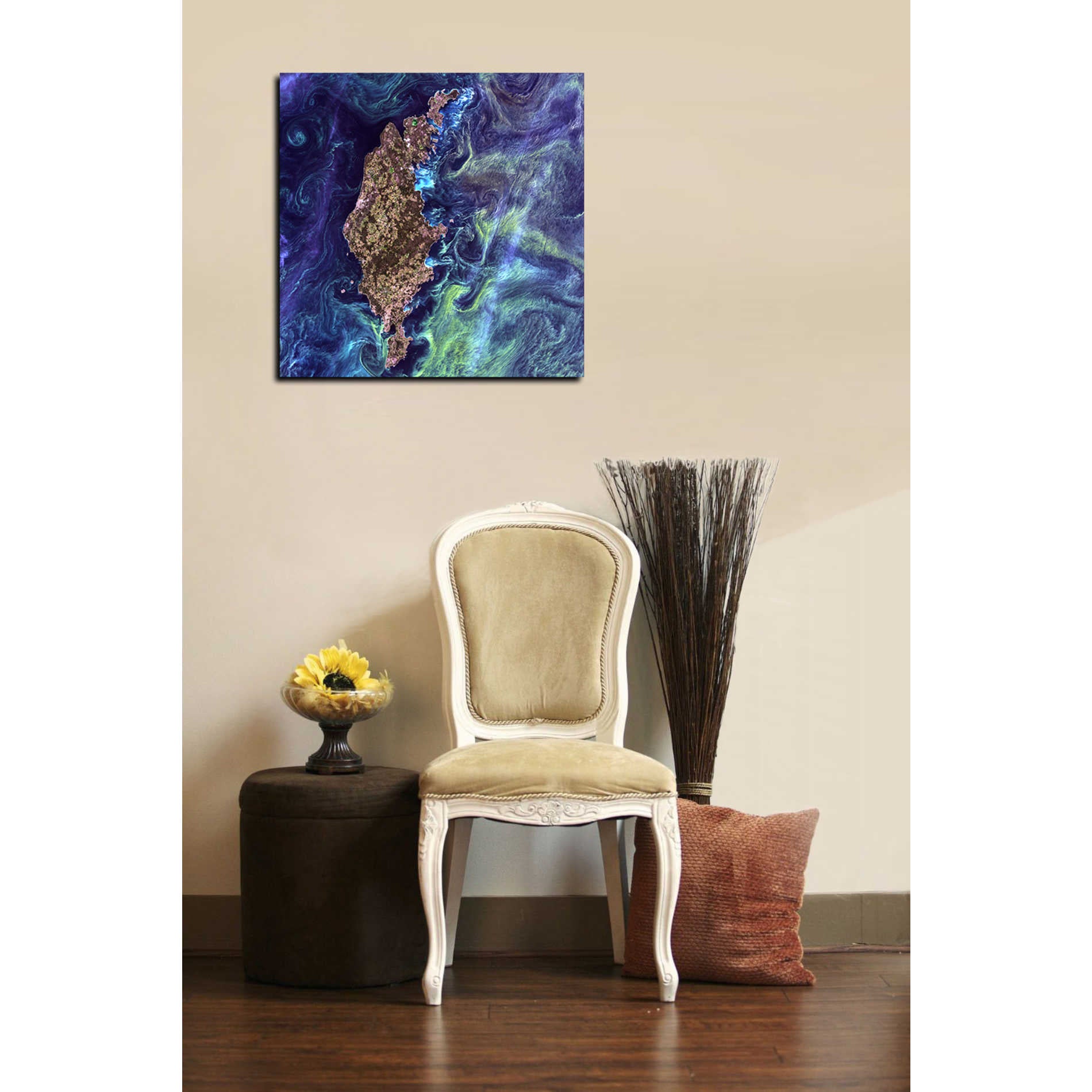 'Earth As Art: Van Gogh From Space' Canvas Wall Art,18 x 18