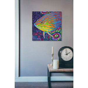 'Brilliant Tropical Fish I' by Carolee Vitaletti Giclee Canvas Wall Art