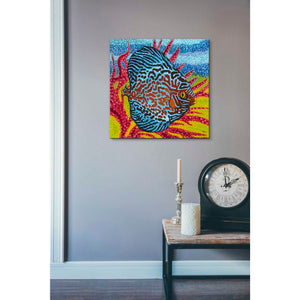 'Brilliant Tropical Fish II' by Carolee Vitaletti Giclee Canvas Wall Art