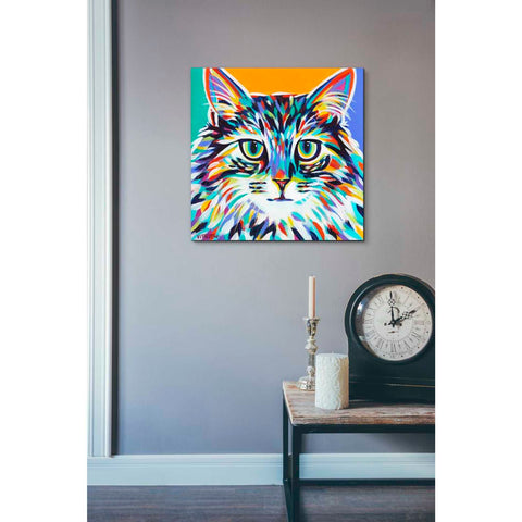 Image of 'Dramatic Cats I' by Carolee Vitaletti Giclee Canvas Wall Art
