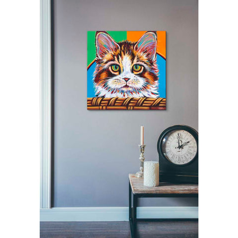 Image of 'Kitten in Basket II' by Carolee Vitaletti Giclee Canvas Wall Art