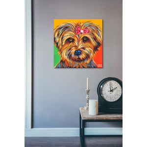'Sweet Yorkie I' by Carolee Vitaletti Giclee Canvas Wall Art