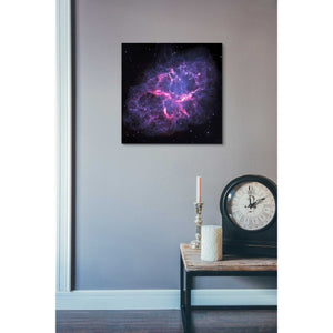 'Crab Nebula' Hubble Space Telescope Canvas Wall Art,18 x 18