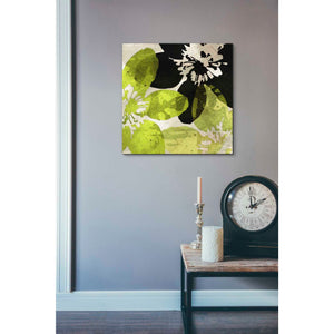'Bloomer Tiles VI' by James Burghardt Giclee Canvas Wall Art