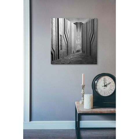 Image of 'Armadillo' by Dariusz Klimczak, Giclee Canvas Wall Art