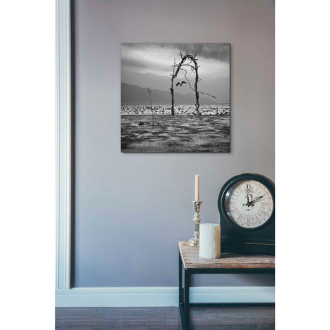 Image of 'Eagle' by Dariusz Klimczak, Giclee Canvas Wall Art
