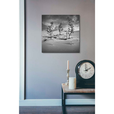 Image of 'Egarden' by Dariusz Klimczak, Giclee Canvas Wall Art