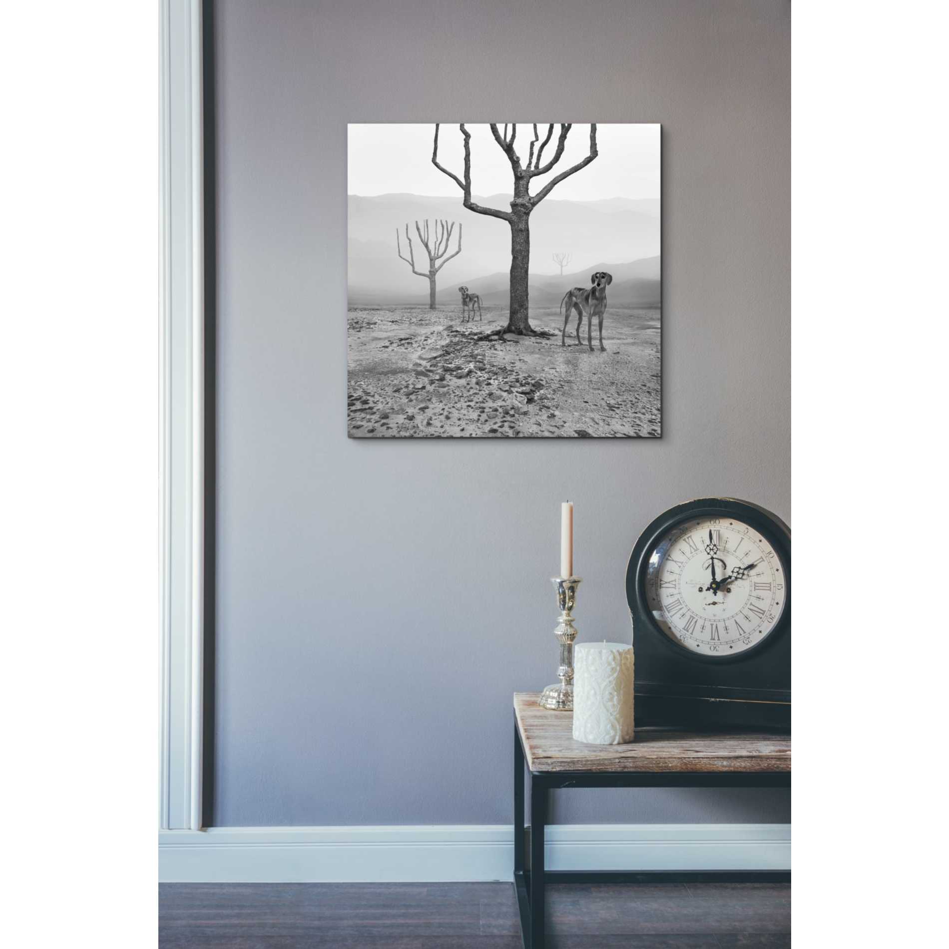 'Dogs in Fog' by Dariusz Klimczak, Giclee Canvas Wall Art