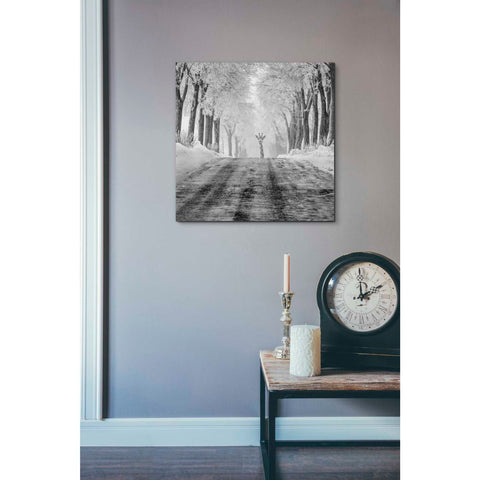 Image of 'Surprise' by Dariusz Klimczak, Giclee Canvas Wall Art
