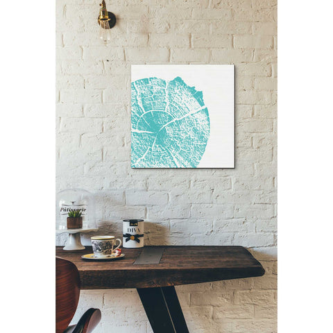 Image of 'Aqua Slice' by Linda Woods, Canvas Wall Art,18 x 18