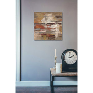 'Painted Desert' by Silvia Vassileva, Canvas Wall Art,18 x 18