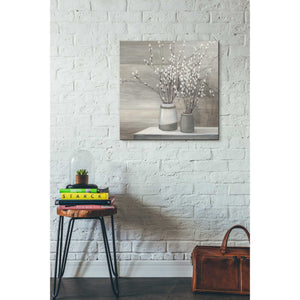 'Pussy Willow Still Life Gray Pots' by Julia Purinton, Canvas Wall Art,18 x 18