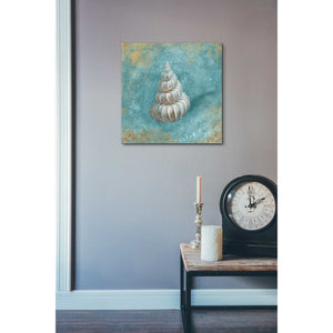 'Treasures From The Sea II' by Danhui Nai, Canvas Wall Art,18 x 18