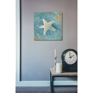 'Treasures From The Sea IV' by Danhui Nai, Canvas Wall Art,18 x 18
