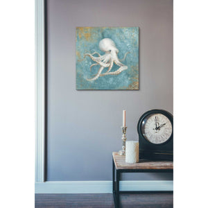 'Treasures From The Sea V' by Danhui Nai, Canvas Wall Art,18 x 18