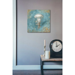 'Treasures From The Sea VI' by Danhui Nai, Canvas Wall Art,18 x 18