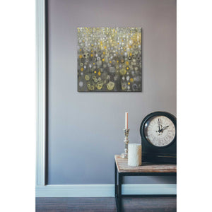 'Rain Abstract V' by Danhui Nai, Canvas Wall Art,18 x 18
