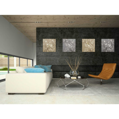 Image of 'White Cherry Blossom I on Grey' by Danhui Nai, Canvas Wall Art,18 x 18