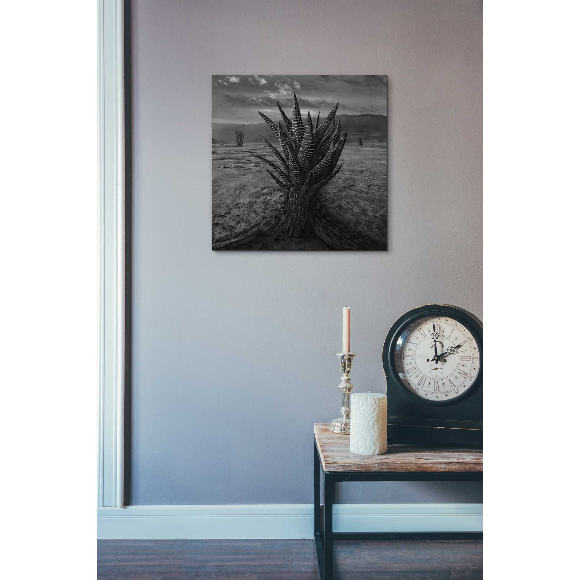 'Cactus' by Dariusz Klimczak, Canvas Wall Art,18 x 18