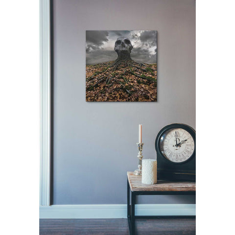 Image of 'Czacha' by Dariusz Klimczak, Canvas Wall Art,18 x 18