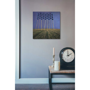 'Flowers' by Dariusz Klimczak, Canvas Wall Art,18 x 18