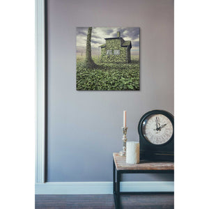 'House of Leaves' by Dariusz Klimczak, Canvas Wall Art,18 x 18