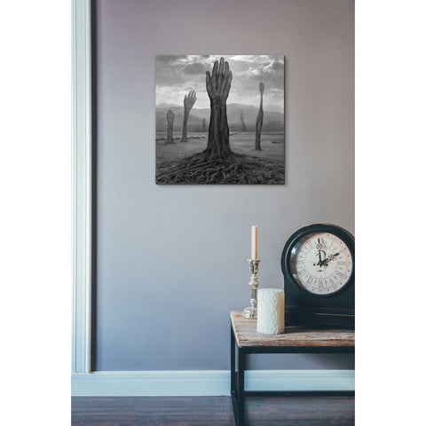 Image of 'Rentgen' by Dariusz Klimczak, Canvas Wall Art,18 x 18