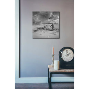 'Argonauci' by Dariusz Klimczak, Canvas Wall Art,18 x 18