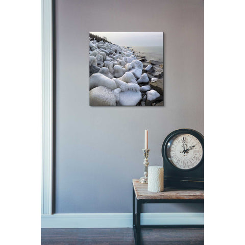 Image of 'Coast' by Dariusz Klimczak, Canvas Wall Art,18 x 18