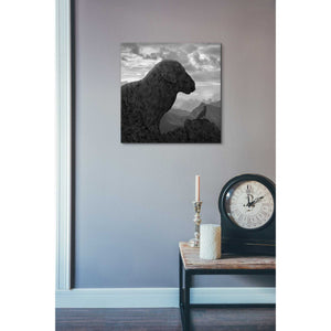 'Dog Rock' by Dariusz Klimczak, Canvas Wall Art,18 x 18
