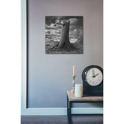 Image of 'Dry' by Dariusz Klimczak, Canvas Wall Art,18 x 18