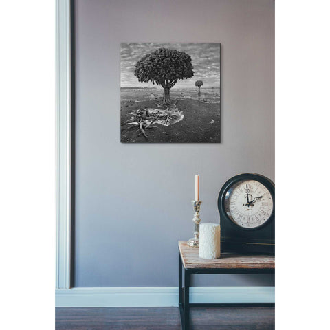 Image of 'Trees' by Dariusz Klimczak, Canvas Wall Art,18 x 18