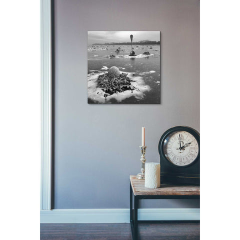Image of 'Frozen Breakfast' by Dariusz Klimczak, Canvas Wall Art,18 x 18