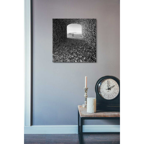 Image of 'Labyrinth' by Dariusz Klimczak, Canvas Wall Art,18 x 18