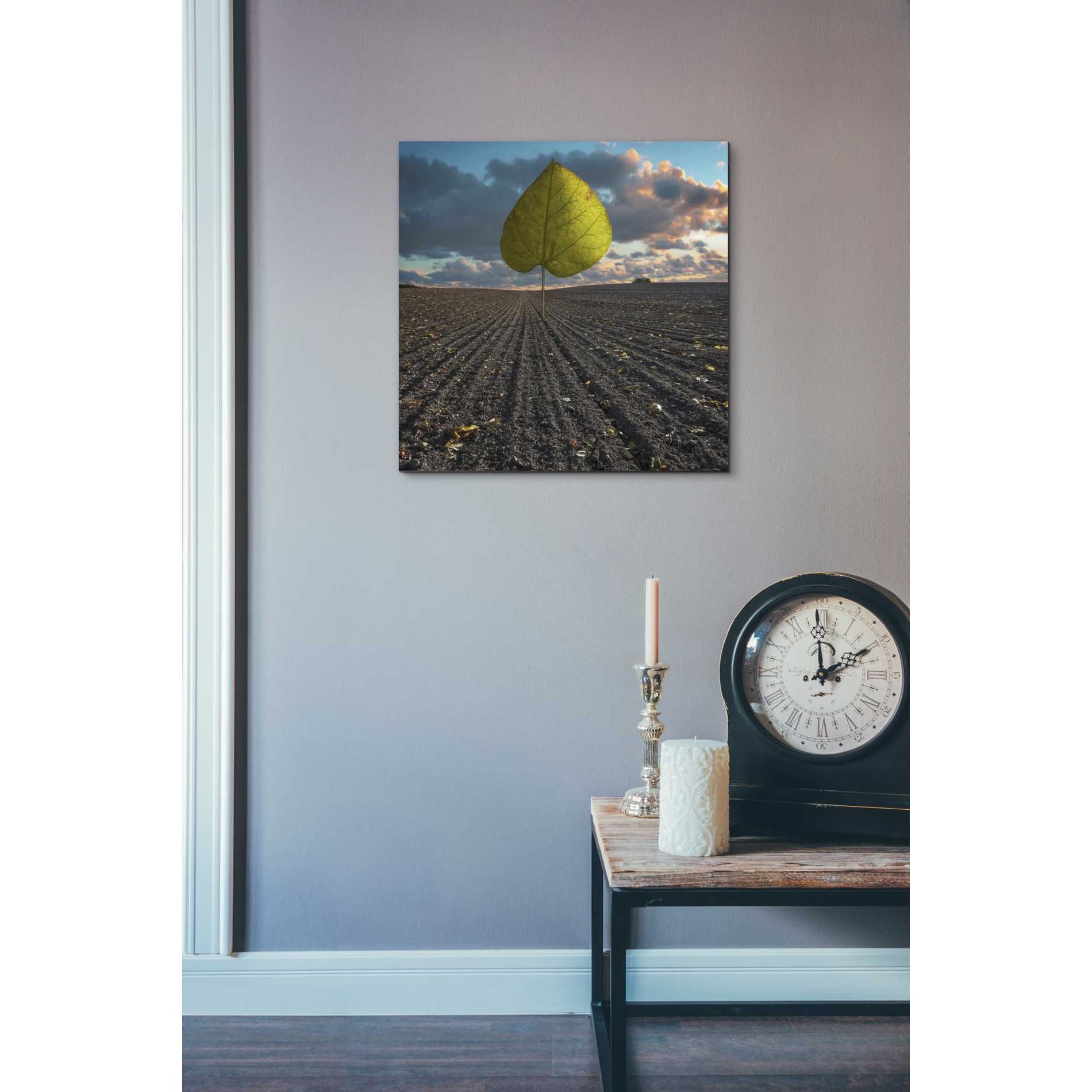 'Listen to Listek' by Dariusz Klimczak, Canvas Wall Art,18 x 18