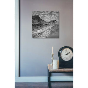 'Mustang Mountain' by Dariusz Klimczak, Canvas Wall Art,18 x 18