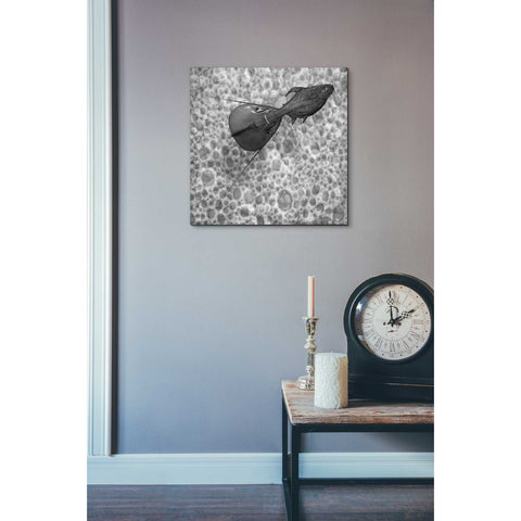 Image of 'Sumarum' by Dariusz Klimczak, Canvas Wall Art,18 x 18