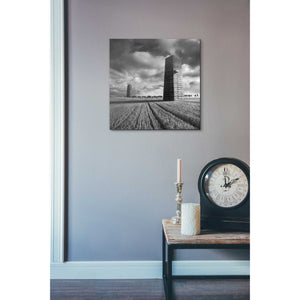 'Szflandia' by Dariusz Klimczak, Canvas Wall Art,18 x 18