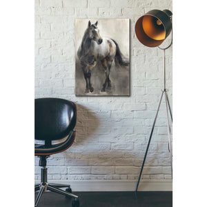 'Copper and Nickel' by Marilyn Hageman, Canvas Wall Art,18 x 26