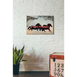 'Horses' by Giuseppe Cristiano, Canvas Wall Art,18 x 26
