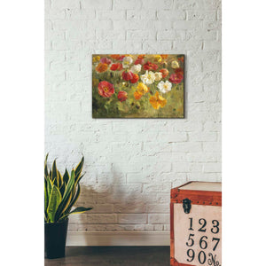 'Poppy Field' by Danhui Nai, Canvas Wall Art,18 x 26