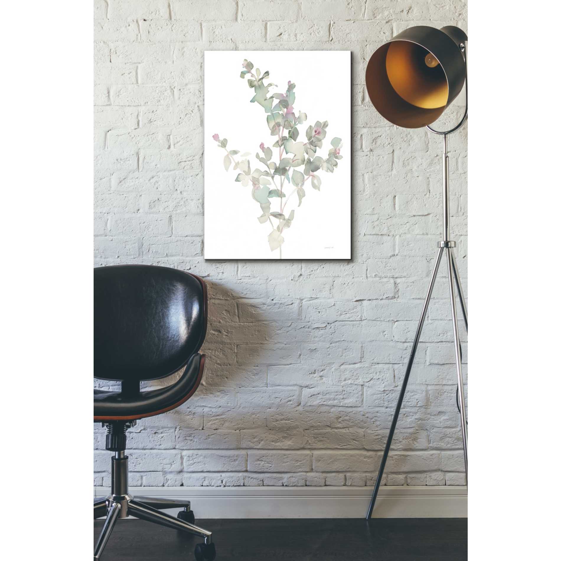 'Eucalyptus II White' by Danhui Nai, Canvas Wall Art,18 x 26